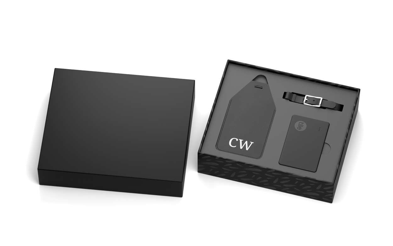 Tile Luggage Tag Set